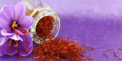 المغرب .. “الزعفران الحر” سمعة عالمية وجهود لحمايته من التزييف
