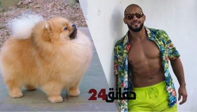 كلب ابو زعير يستنفر الامن المغربي