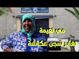 اليوتوبرز مي نعيمة تغادر أسوار سجن عكاشة بعد قضاء فترة العقوبة