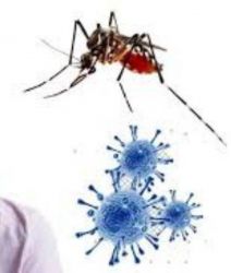 ظهور بخاخ حشرات جديد  يقضي على  كورونا