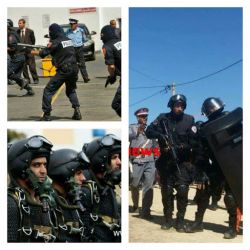 القوات الخاصة المغربية…طبيعتها…الفرق العاملة بها…تسليحها…نشأتها والمهام الموكولة لها