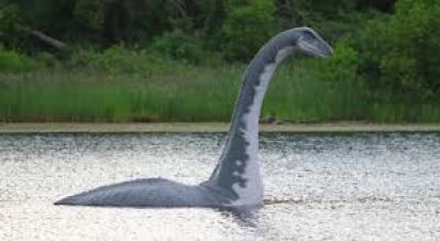 المغرب يشهد اكتشاف اول ديناصور مائي في العالم حسب فريق علمي