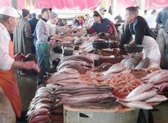  رواد التواصل الاجتماعي يطلقون هاشتاغ #خليه_يخناز بعد ارتفاع صاروخي لسعر السمك