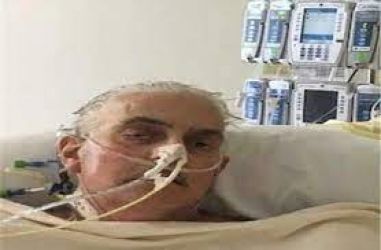 هذا مصير  الرجل الذي خضع لزراعة قلب خنزير