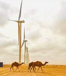 بلاغ هام للمكتب الوطني للكهرباء والماء الصالح للشرب