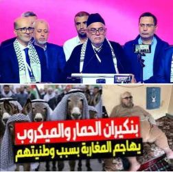 خرجة بنكيران التي اغضبت المغاربة واخرجت مشاهيرا عن صمتهم ،  ابرز الردود على وصف بنكيران للمغاربة بالحمير والميكروبات