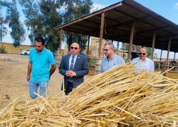 المهندس هيثم حسين يتفقد مشروعات الثروة الحيوانية ويعلن عن إطلاق صندوق استثماري  لتنمية مشروعات مركز بحوث الانتاج الحيواني 