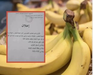قصة "جمهورية الموز" مع تقنين هذه المادة الحيوية وتقييد التجارة فيها بالجزائر  إلا بشروط صارمة .