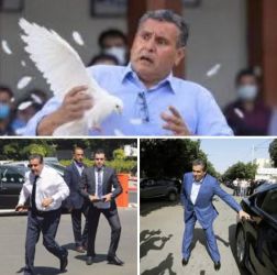 لا هو في الاغلبية ولا هو في المعارضة ، تفاصيل نهاية اخنوش بعدما اعاد تربية المغاربة وردوا له الصاع صاعين 