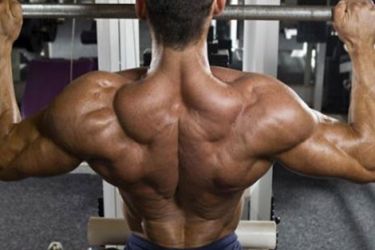 منشطات كمال الأجسام تسبب السكتة القلبية والعقم