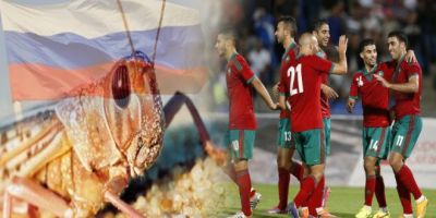 صادم.. الجراد يُهدد مباريات مونديال روسيا 2018
